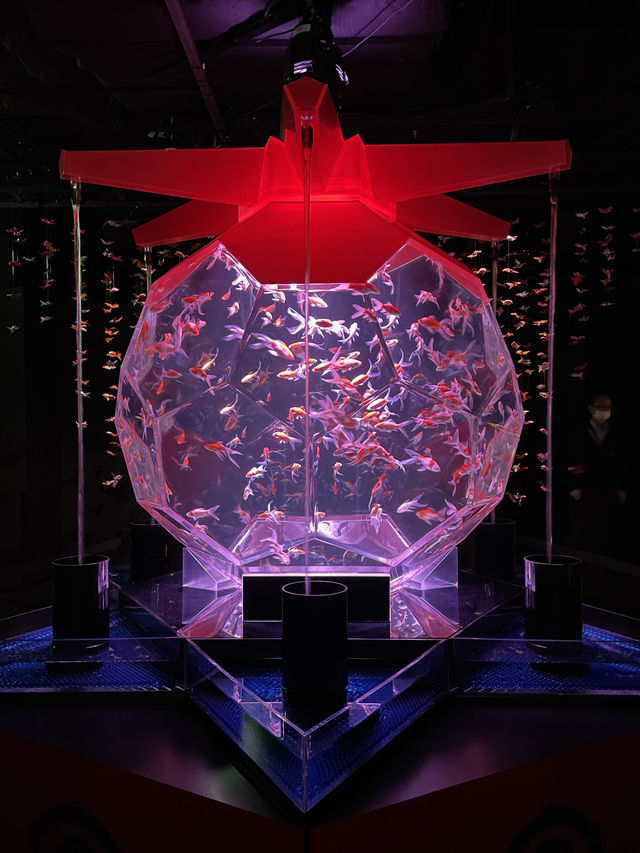 【アートアクアリウム美術館 GINZA /東京都】春を先取り！幻想的空間の桜と金魚