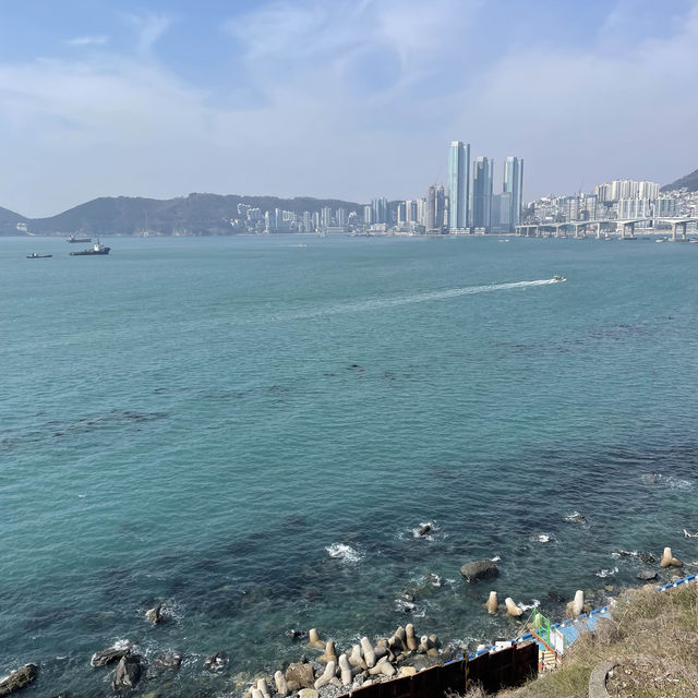 부산 흰여울 문화마을 오션뷰 북카페 여울책장 추천
