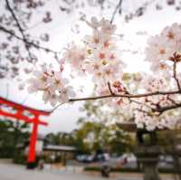 Fushimi Inari Shrine เกียวโต