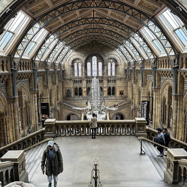 The Natural History Museum