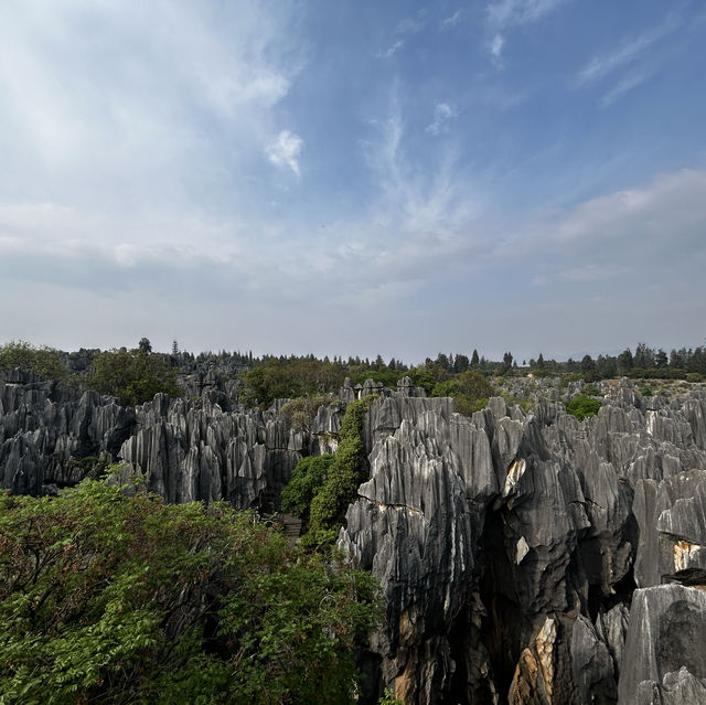 Kunming-Stone forest 