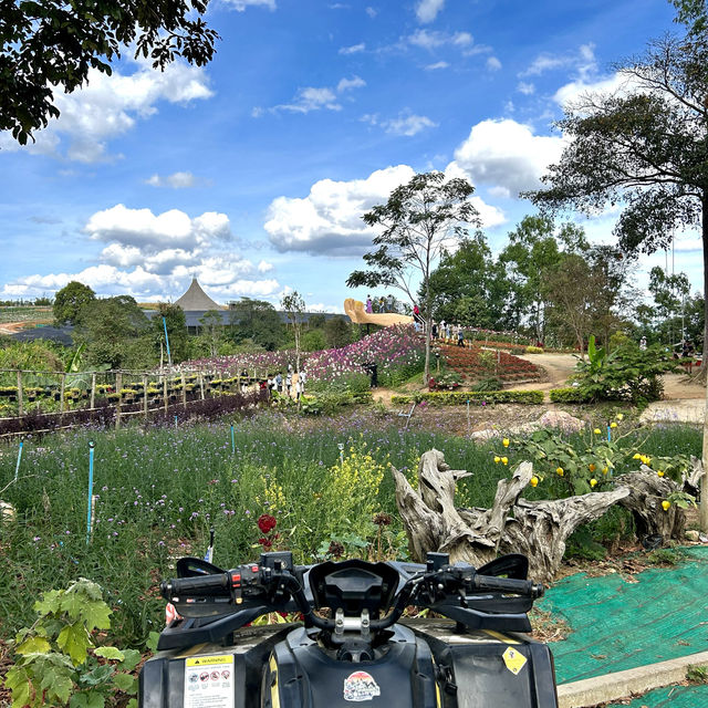 🏎️ ขับ ATV ขี่ฟอร์มูล่าม้งที่ทุ่งกังหันลมเขาค้อ⛰️