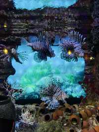 Aquaria KLCC