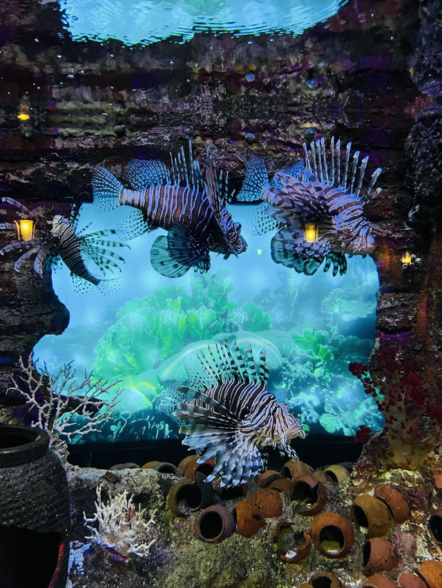 Aquaria KLCC