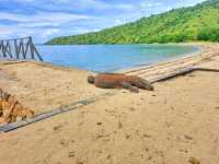 Komodo National Park