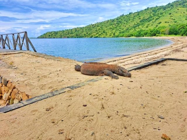 Komodo National Park