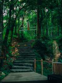 พิชิตดอยขุนตาล แบบละเอียดยิบบ 🚂⛰️