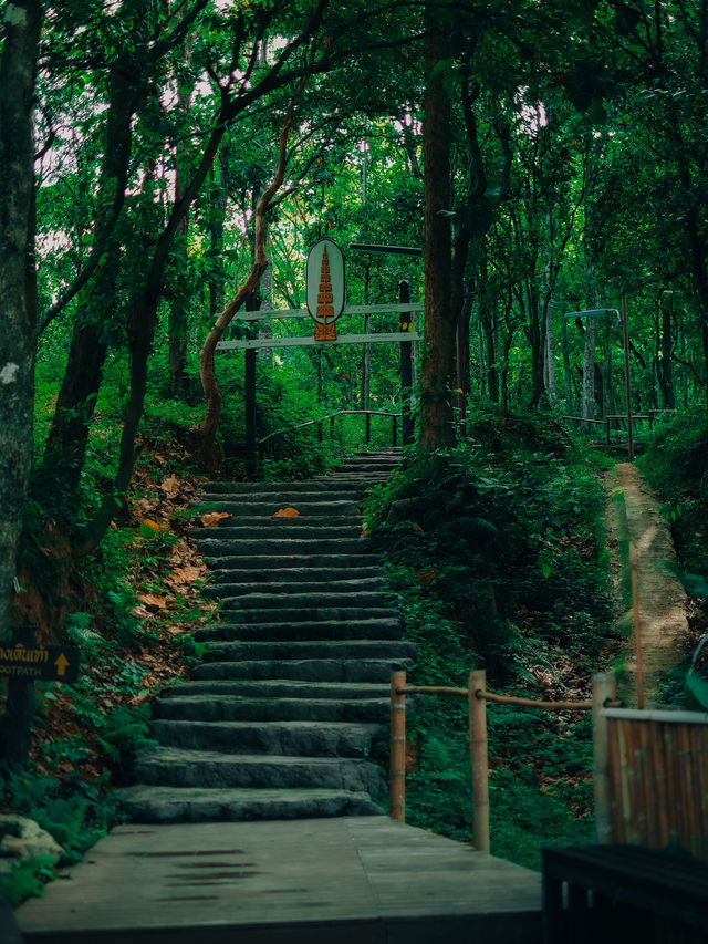 พิชิตดอยขุนตาล แบบละเอียดยิบบ 🚂⛰️