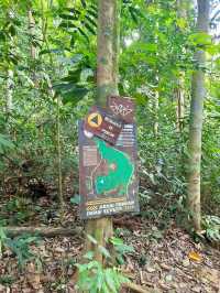 Kota Damansara Community Forest Reserve