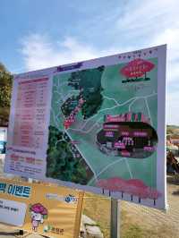 제1회 서부해당화 봄꽃축제🌸
