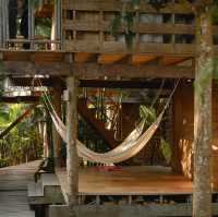 The Tropical Koh MOOK