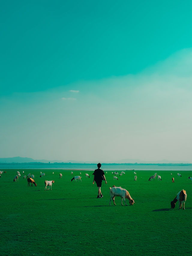 แลนด์มาร์คฤดูร้อน ! ท้ายเขื่อนป่าสักชลสิทธ์ 🐐🌳