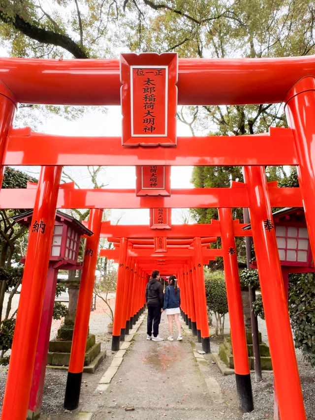 日本九州｜柳川漫活走走🚶‍♂️‍➡️