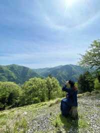 【岐阜】岐阜のマチュピチュと呼ばれる茶畑