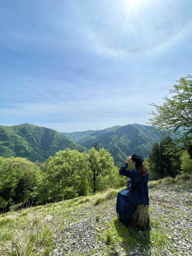 【岐阜】岐阜のマチュピチュと呼ばれる茶畑