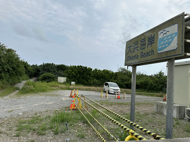 沖縄・石垣島。木々をくぐり抜けると現れる宮良湾の海岸『大浜海岸』