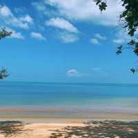 ⛱️ Coconut Trees & Beach Bliss