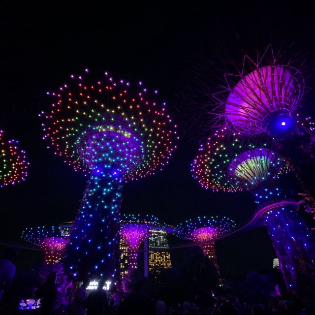 Time to light up your life💡🧚🏻