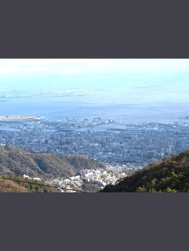 「六甲山牧場」春天好去處，享受大自然與美食的療癒時光