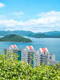 海濱之夢：母親節與夢中的學府