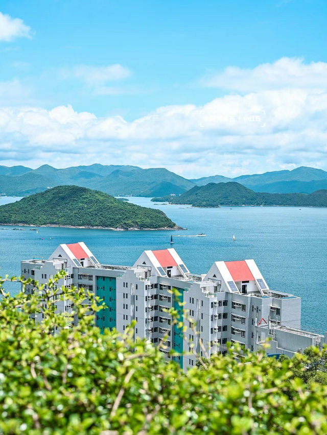 海濱之夢：母親節與夢中的學府