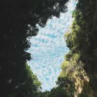洞山：神奇絕景，感受大自然的鬼斧神工