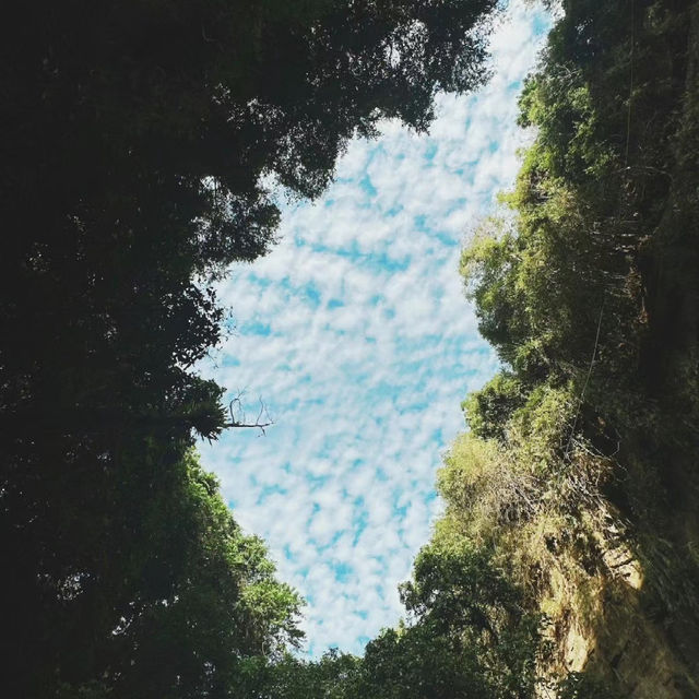 洞山：神奇絕景，感受大自然的鬼斧神工