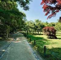 岡山後楽園