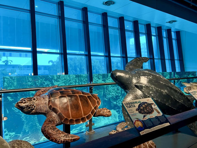 Cairns Aquarium