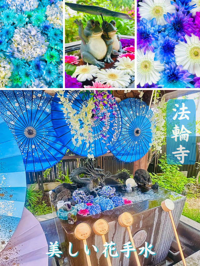 【紫陽花に変化‼️花手水で有名の法輪寺】