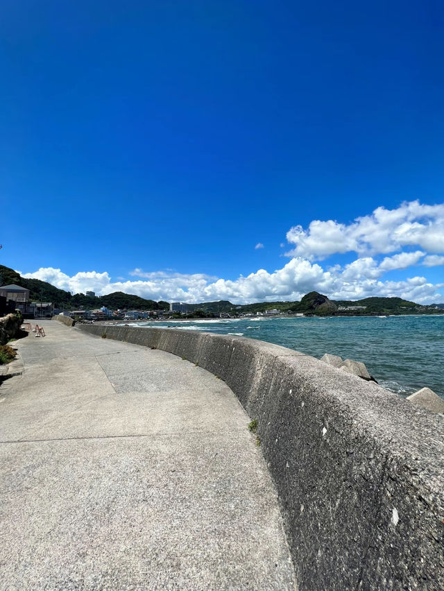 【千葉】エモい夏スポット🏖☀️離島で磯遊び