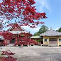 夏旅は東京へ行こう💠東京上野でお寺巡り『寛永寺』