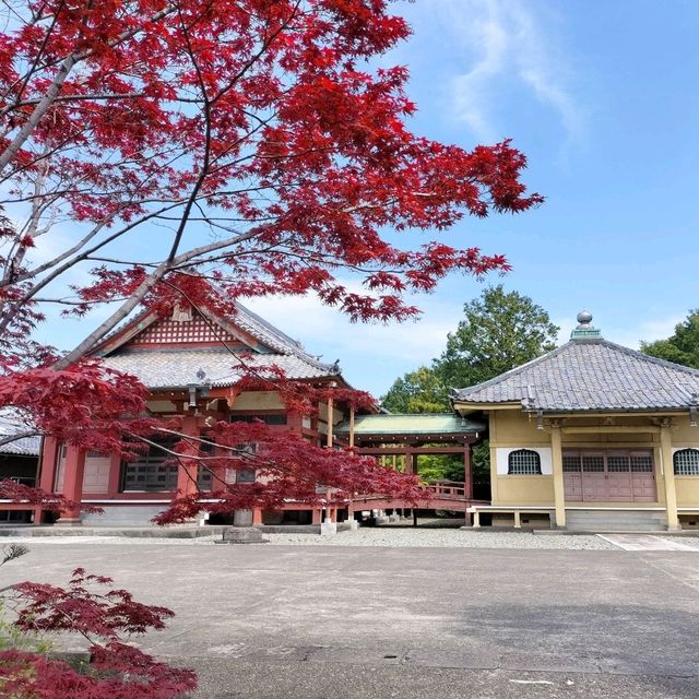 夏旅は東京へ行こう💠東京上野でお寺巡り『寛永寺』