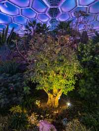 Bucheon Lake Botanic Park สวนพฤกศาสตร์ฟีลอวกาศ