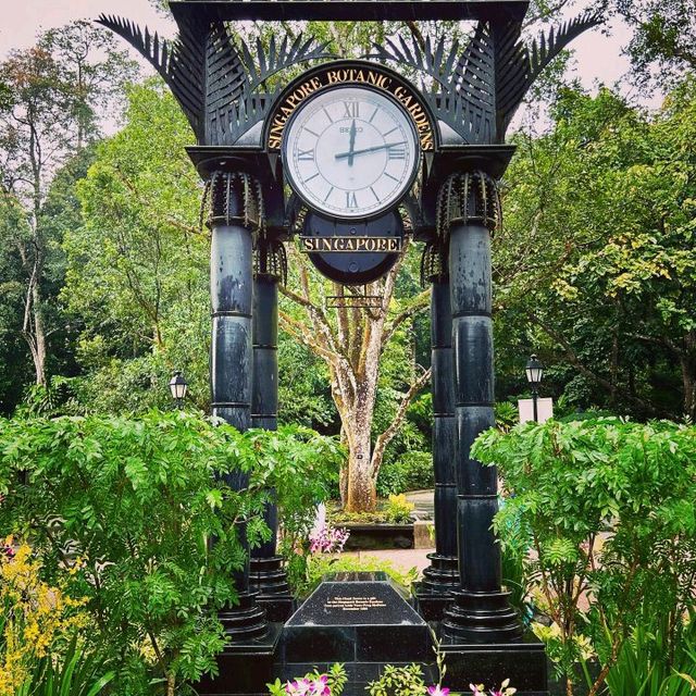 Botanical Garden Singapore
