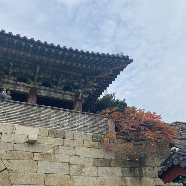 청주 랜드마크, 피크닉 하기 좋은 상당산성 ☘️