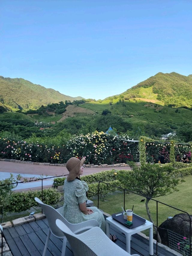 지리산과 장미 콜라보가 아름다운 하동카페🌹🌿