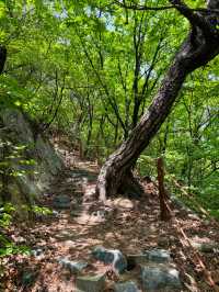 뷰가 멋있는 도봉산⛰️