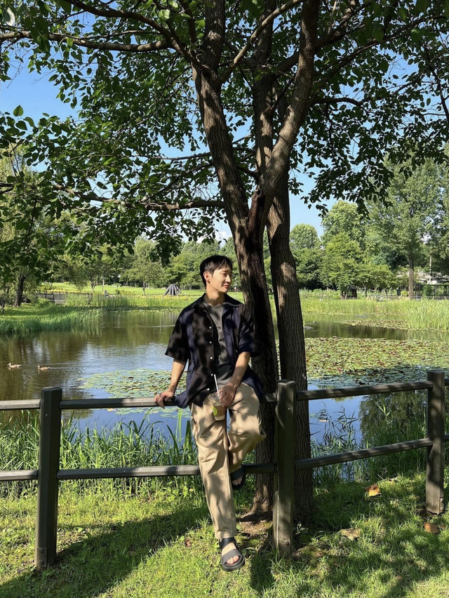 마음의 안정을 찾아주는 이국적인 공원, 용산 가족 공원🌳