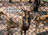 สวนสัตว์ห้วยทราย 