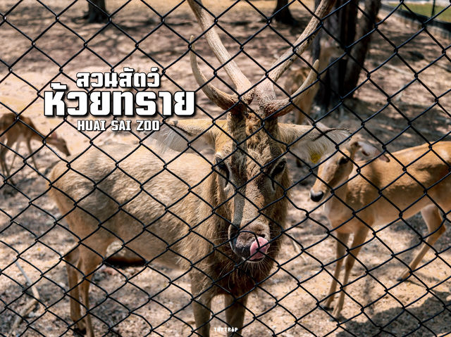 สวนสัตว์ห้วยทราย 