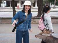 ให้อาหารกวางที่ NARA PARK | Osaka 🇯🇵