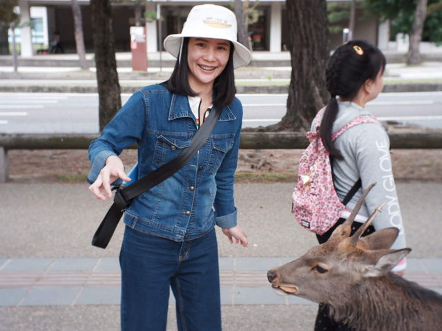 ให้อาหารกวางที่ NARA PARK | Osaka 🇯🇵