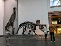 Fun Visit to the Frankfurt Natural History Museum