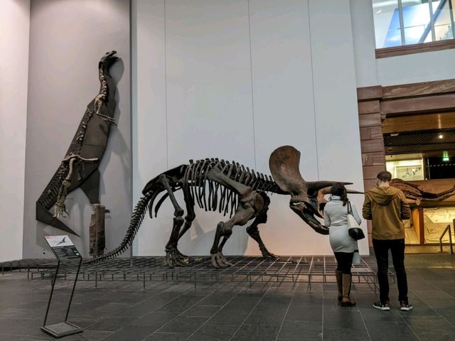 Fun Visit to the Frankfurt Natural History Museum