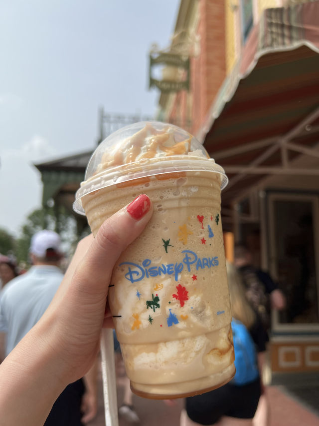 Disney world Magic Kingdom park