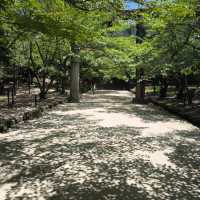 寶滿宮 竈門神社 六月有機會看到繡球花季