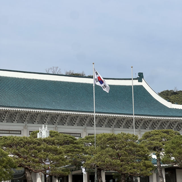 청와대 국민품으로! 청와대 개방 예약 후 방문