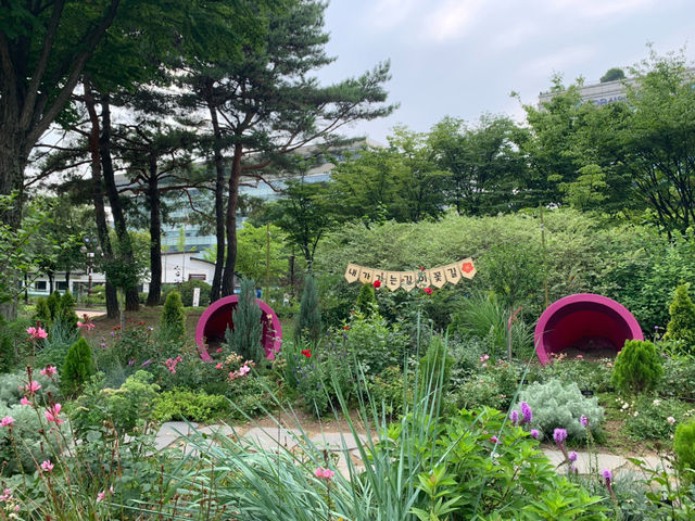  "도시 속 자연의 품격, 여의도공원"🌳
