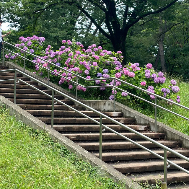 「青羅中央湖公園」湖光山色～感受大自然韻味